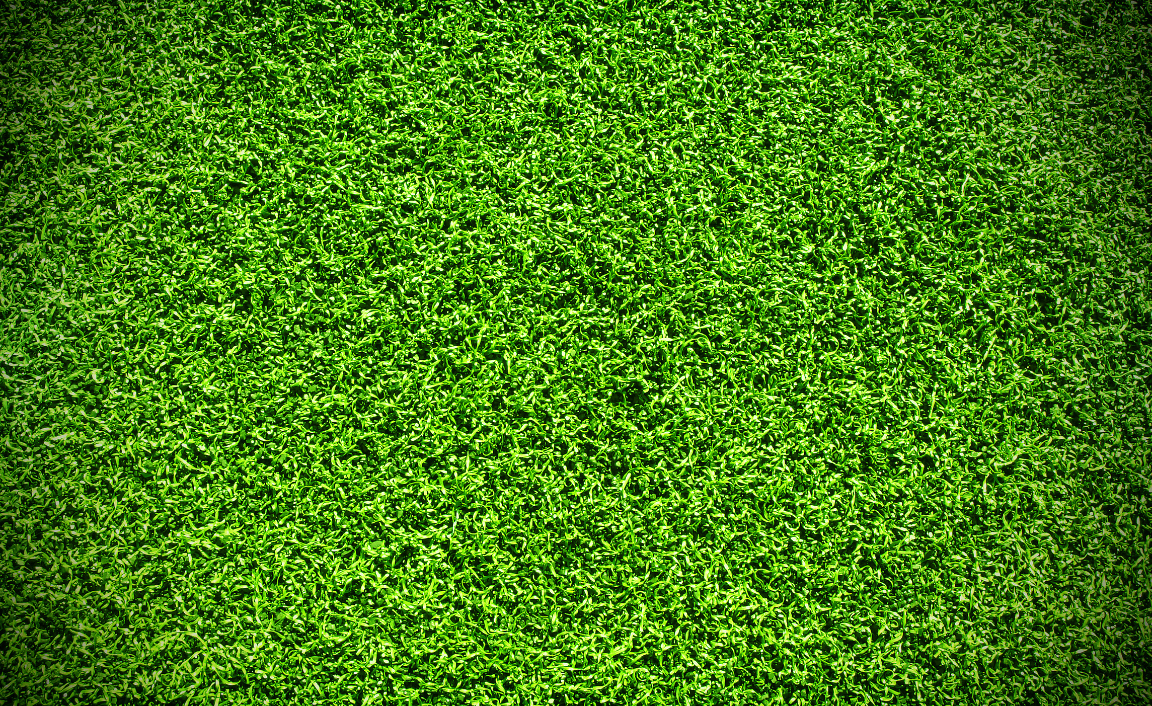 synthetic grass